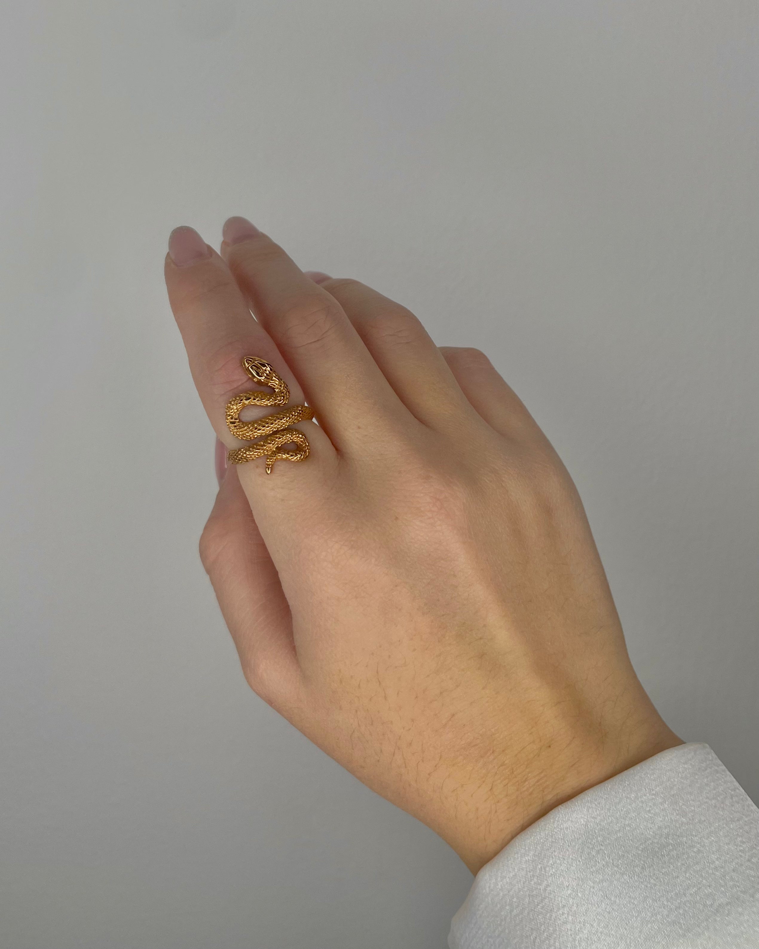 Anello Snake